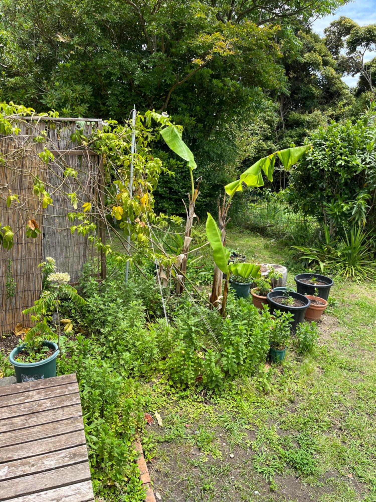Guesthouse Papaya Shimoda  Eksteriør bilde