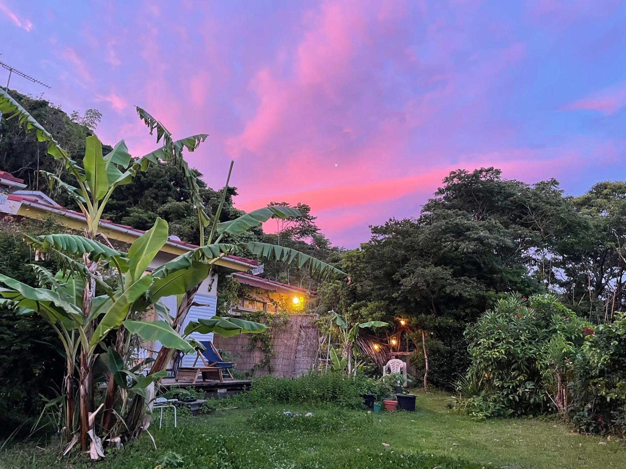 Guesthouse Papaya Shimoda  Eksteriør bilde